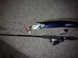 尼崎にシーズン終盤のタチウオワインドに行っ…