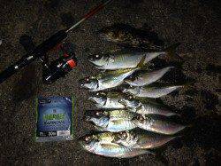 大阪南港　水深あり潮速いエリアでのアジング、極細0.09号PEでリベンジ達成！