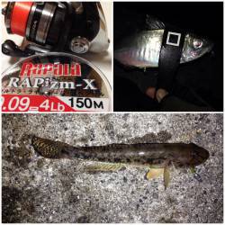 大阪南港　水深あり潮速いエリアでのアジング、極細0.09号PEでリベンジ達成！