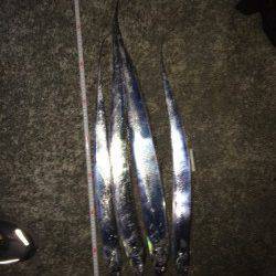 西宮浜 ワインドのタチウオ狙いはバラシ多いも4本ゲット