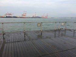 南港周辺でサビキ釣り　14:00くらいから毎投アタリ、アジ多数