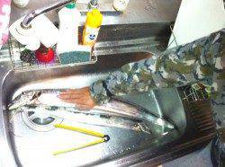 南港　朝五時半からワインドでタチウオ釣行