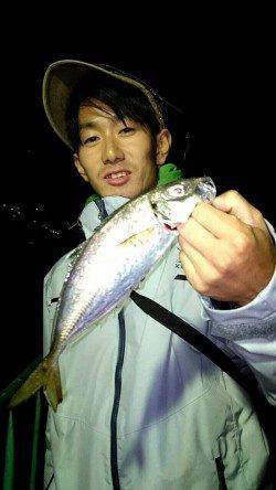 南港　アジングのアジ狙いは尺アジまであと3cm