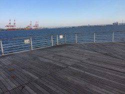 南港周辺ワインドで太刀魚狙いは爆風で不発、サビキでアジ・サンバソウ・ガシラ