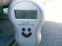 産湯漁港でエギング、NEWロッドに墨付がで…