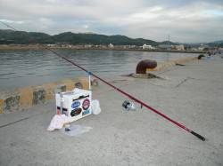 淡路都志漁港へ午後から釣行　引き釣りでキス…