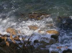 風裏探して伊根へ　エギングでアオリイカの釣…