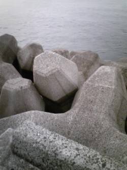 妻鹿（白浜）漁港　タチウオ好調の噂を聞きつ…