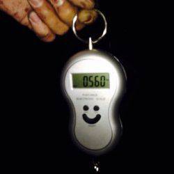 蒲入にて胴長23センチのアオリイカ　まだまだエギングシーズン！