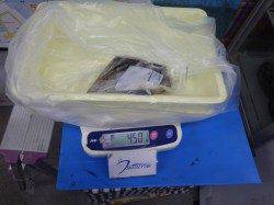 みなべ堺堤防グランド横にてアオリイカ2ハイ