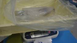 堺漁港グランド横　ヤエンでアオリイカ910…