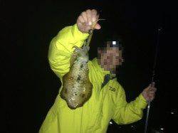 天橋立周辺エギング　夕方のプチ時合いでのアオリイカ釣果