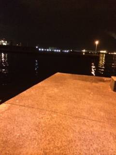 大阪南港アジング　常夜灯が点灯してからポツポツ表層でアタリました