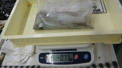 白浜見草でエギング、キロアップには届かず…