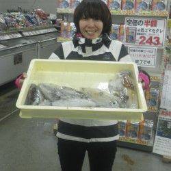 伊古木と名切崎の地磯でエギング　アオリイカ955ｇまでを8杯