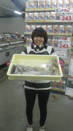 伊古木と名切崎の地磯でエギング　アオリイカ…