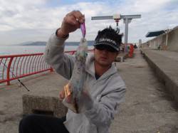 平磯海づり公園　アオリイカ515g、パープ…