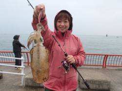 平磯海づり公園　レッド系のエギでアオリイカ…