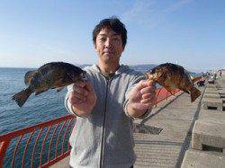 平磯海づり公園　良型のメバルをキャッチ