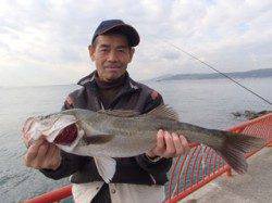 平磯海づり公園　シラサエビの浮き釣りでハネ58ｃｍ