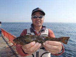 平磯海づり公園　胴突仕掛でアイナメ35.5cm