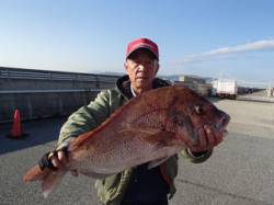 平磯海づり公園　記録賞サイズの特大マダイが…
