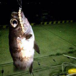 新浜漁港　会社帰りに30分のアジング残業〜メバル混じりでポツポツ