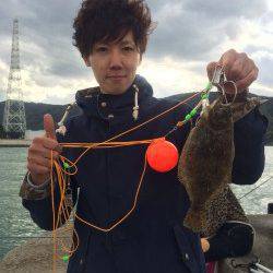 マリーナシティ海釣り公園　カゴ釣りでヒラメの釣果