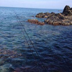 落ちキスを狙って三松の磯側へ　中々のサイズが上がりました