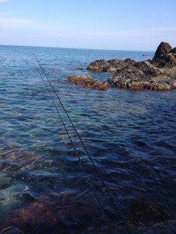 落ちキスを狙って三松の磯側へ　中々のサイズが上がりました