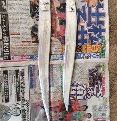 武庫川一文字　ワインドでタチウオ　青物は次回リベンジしたいです