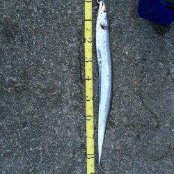 シーズン終盤のドラゴン求め西宮ケーソンへ　1m超えの指4本半クラスをGET