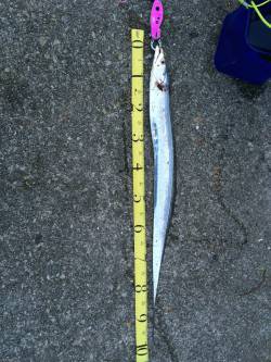 シーズン終盤のドラゴン求め西宮ケーソンへ　…