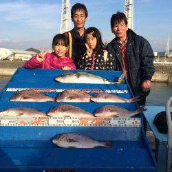 マリーナシティ海洋釣り堀　マダイ好調です。