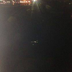 泉大津にアジを探しに、アジとは違うアタリが連発…