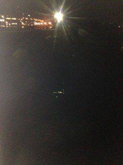 泉大津にアジを探しに、アジとは違うアタリが連発…