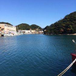 勝浦港　ライトゲームでメッキ・メバル　色々見て回りメバルの付き場発見♪