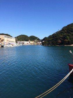 勝浦港　ライトゲームでメッキ・メバル　色々見て回りメバルの付き場発見♪