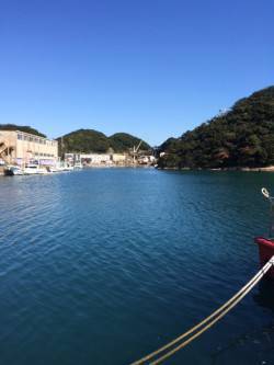 勝浦港　ライトゲームでメッキ・メバル　色々…