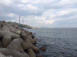 浦港　明るい内はライトワインドでメッキ、陽が傾きだしフロートリグでアジ