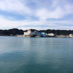 勝浦漁港でライトゲーム　スピンテールジグでサバとホウボウの釣果