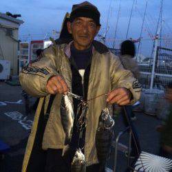 マリーナシティ海釣り公園　紀州釣りでチヌの釣果