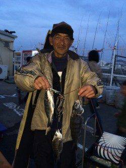 マリーナシティ海釣り公園　紀州釣りでチヌの釣果