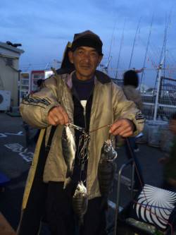 マリーナシティ海釣り公園　紀州釣りでチヌの…