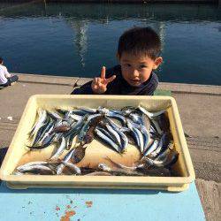 マリーナシティ海釣り公園、サビキでイワシ大漁♫