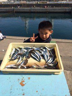 マリーナシティ海釣り公園、サビキでイワシ大漁♫