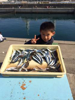 マリーナシティ海釣り公園、サビキでイワシ大…