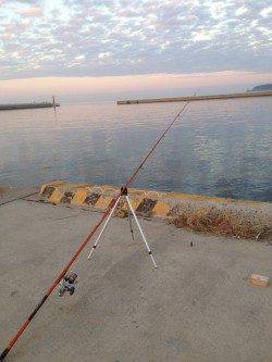 都志にて投げ釣りでキス　時合には3投に2投は釣れるペースでした♪