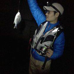 舞洲にてアジング　豆アジとキビレの釣果