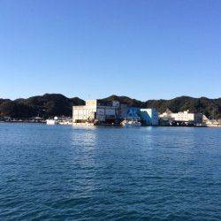 勝浦漁港　湾内で潮がよく流れているところを通すとヒラメの釣果